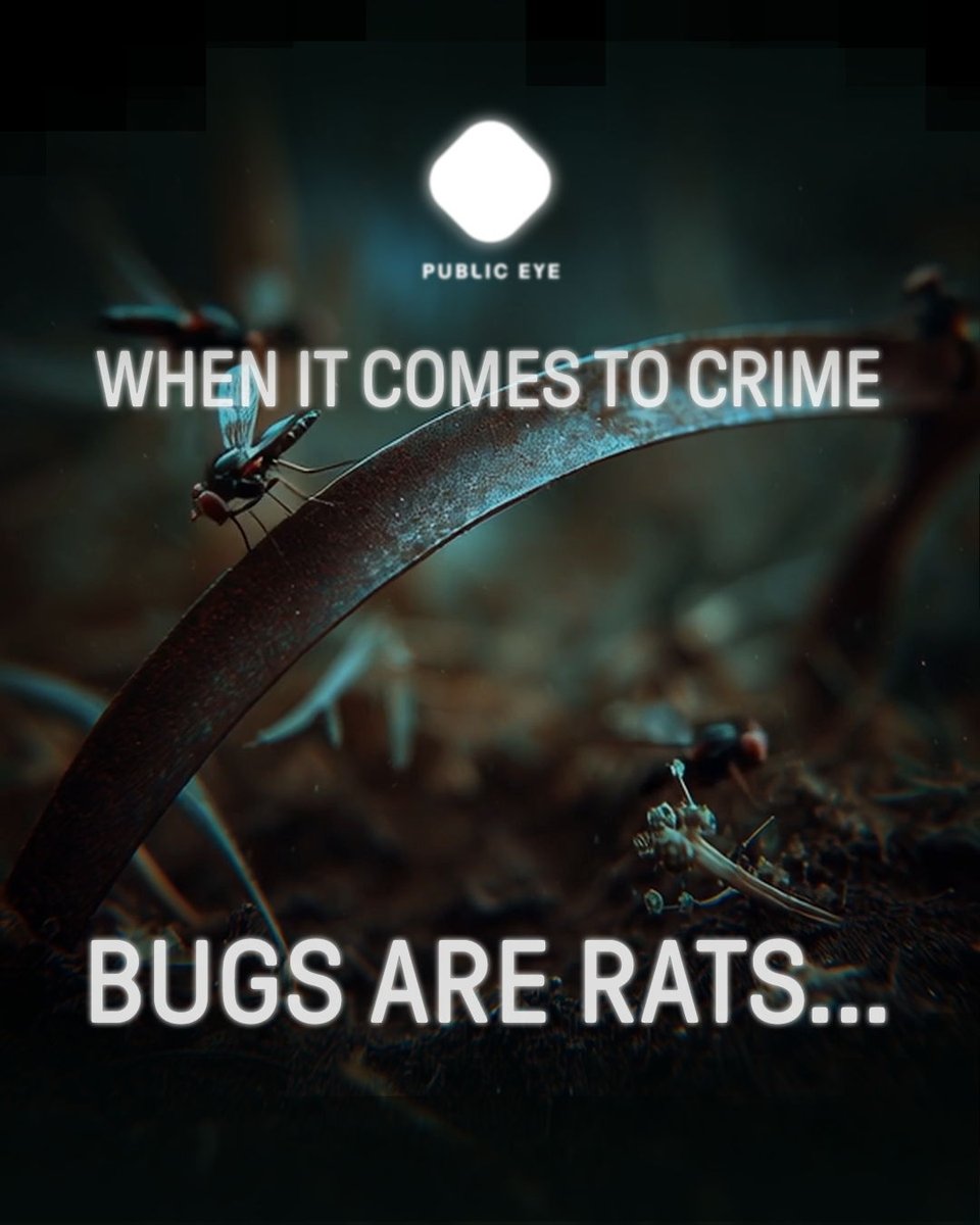 PublicEyeHQ's tweet photo. INFORM: When it comes to crime, bugs are rats (... at least since
the 13th century).

Outwit a killer at https://t.co/5O6zavIvGA

#publiceyegame #dailypuzzles #crimetrivia https://t.co/VP373ZQ3Rg