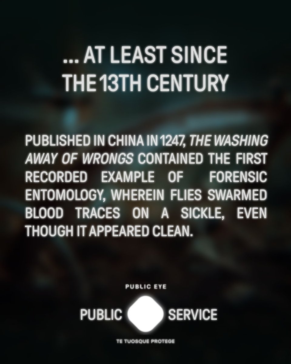 PublicEyeHQ's tweet photo. INFORM: When it comes to crime, bugs are rats (... at least since
the 13th century).

Outwit a killer at https://t.co/5O6zavIvGA

#publiceyegame #dailypuzzles #crimetrivia https://t.co/VP373ZQ3Rg