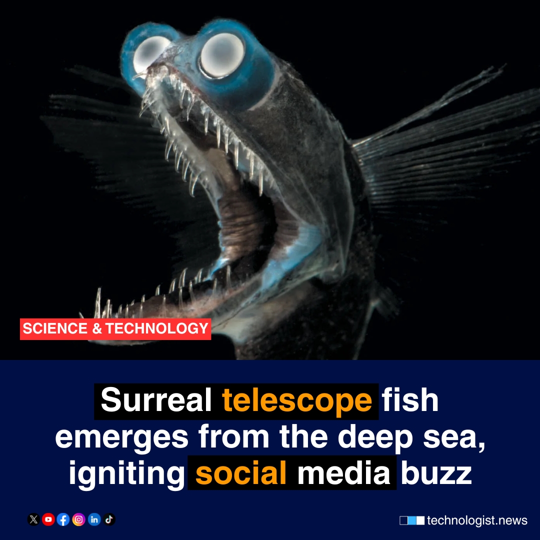 TheTechnol75717's tweet image. A rare deep-sea creature known as the telescope fish has recently captivated the internet after unusual footage surfaced from Argentina's Mar del Plata Canyon expedition.

Tap the link to read full story
technologist.news/surreal-telesc…

#TheTechnologist #TelescopeFish #DeepSeaCreatures