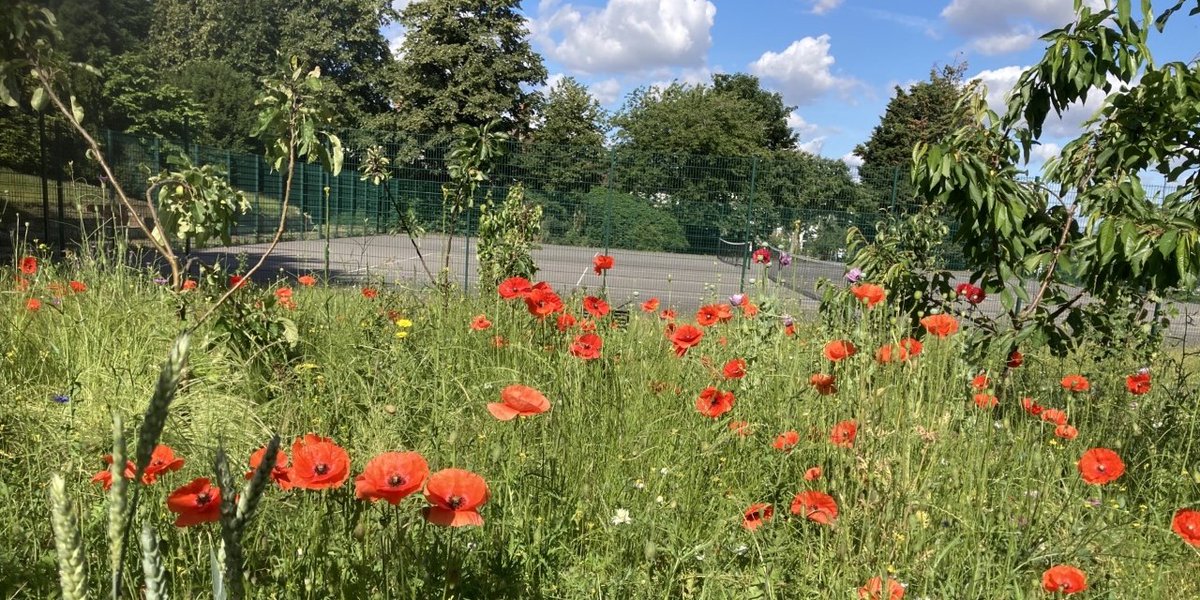Royal Borough of Greenwich (@royal_greenwich) on Twitter photo ⚠️ The <a href="/UKHSA/">UK Health Security Agency</a> has issued an amber heat health alert across London from 9am on Tuesday 12 August until 6pm on Wednesday 13 August.
☀️ Please stay cool and look out for people at higher risk of becoming unwell when the weather is hot. ⚠️ The <a href="/UKHSA/">UK Health Security Agency</a> has issued an amber heat health alert across London from 9am on Tuesday 12 August until 6pm on Wednesday 13 August.
☀️ Please stay cool and look out for people at higher risk of becoming unwell when the weather is hot.