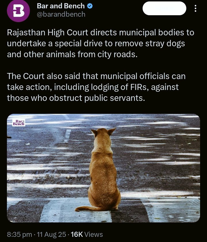 aka_dpu's tweet photo. Who tf are Governments/The SC to think of themselves as Sole Owner of the Planet Earth? What gives them rights to remove a Living Creature from the land that belongs to them too? #straydogs lived here along with humans since centuries. Mother Earth belongs to All. Beta @peta Look https://t.co/QAlSe8vZjs