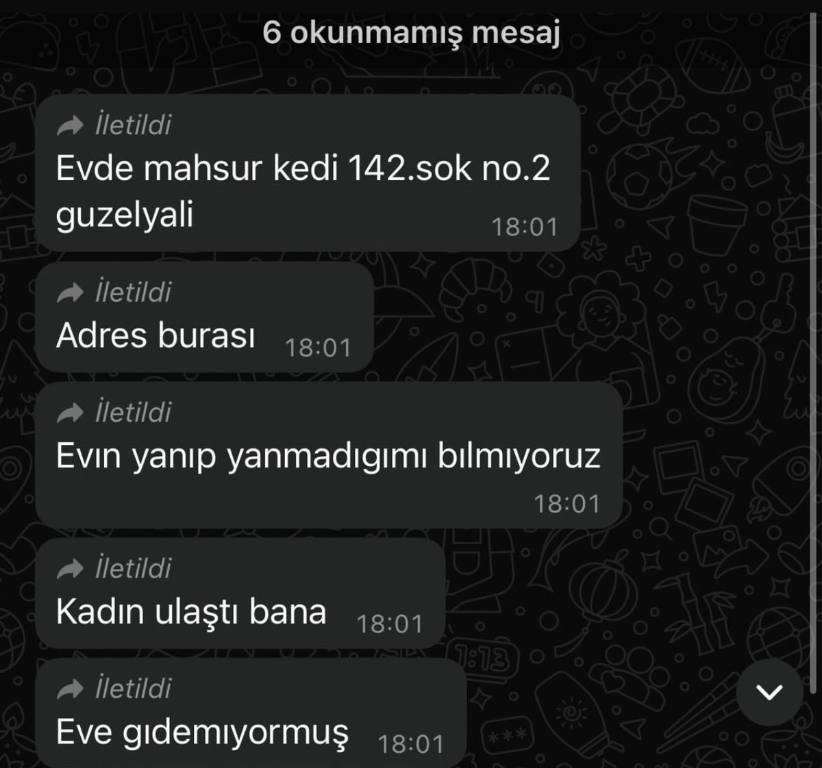 guclusinemm's tweet photo. Çanakkale Güzelyalı da evde mahsur kalan bir kedi var bölgede olanlar lütfen adresi iletsinler 

#CANAKKALEYANIYOR https://t.co/e3CYjOlMs6