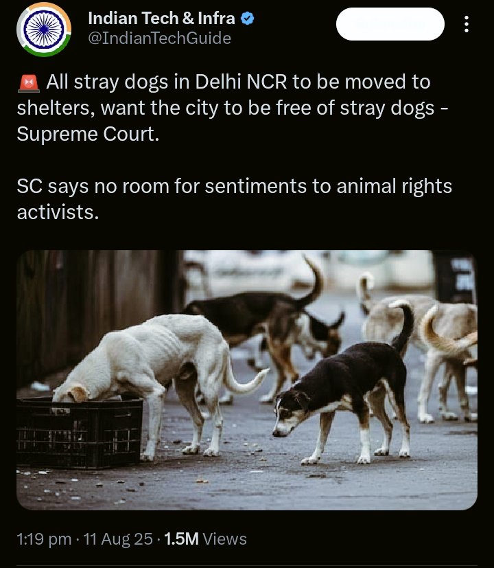 Who tf are Governments/The SC to think of themselves as Sole Owner of the Planet Earth? What gives them rights to remove a Living Creature from the land that belongs to them too? #straydogs lived here along with humans since centuries. Mother Earth belongs to All. Beta <a href="/peta/">PETA</a> Look
