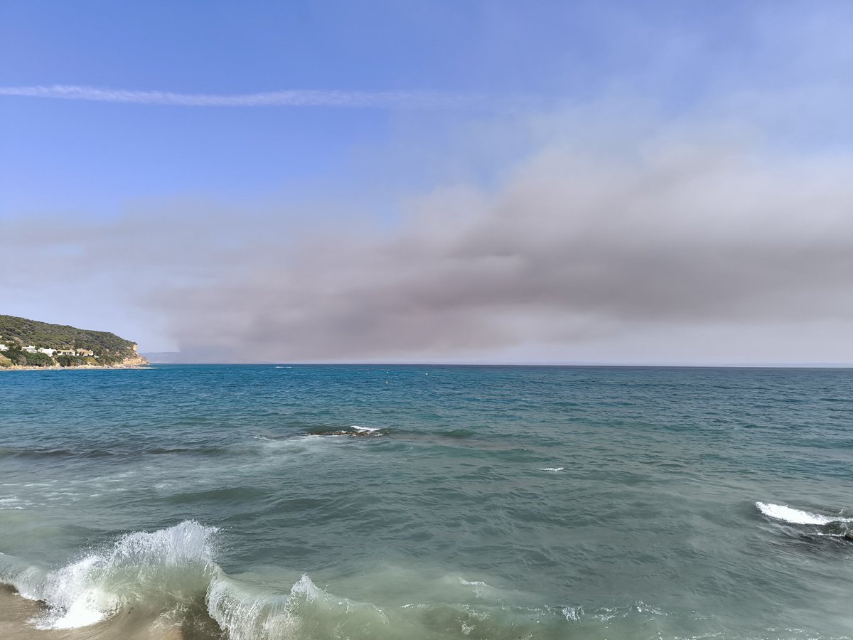 El viento de levante extiende el humo del incendio en la Sierra de la Plata hacia el cabo de Trafalgar.
#IFTarifa