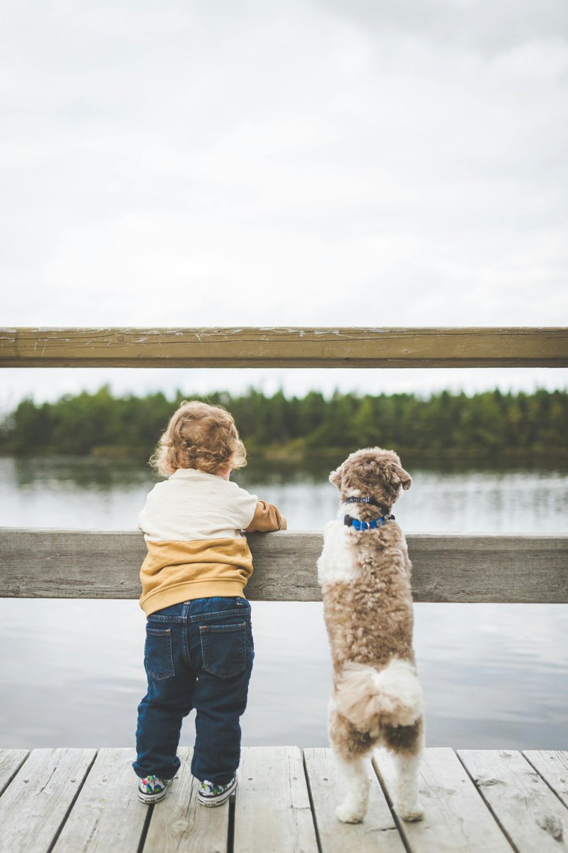 shopyourdogs's tweet photo. "Mondayโs not so ruff when your best friend is by your side!"
#MondayMotivation #PupLove #DogLifeJoy #TailWagVibes #BestFriendGoals #PawsitiveStart #HappyDogHappyLife #FurEverFriend
https://t.co/yccPOtDXPI https://t.co/Xkopgc65ZM