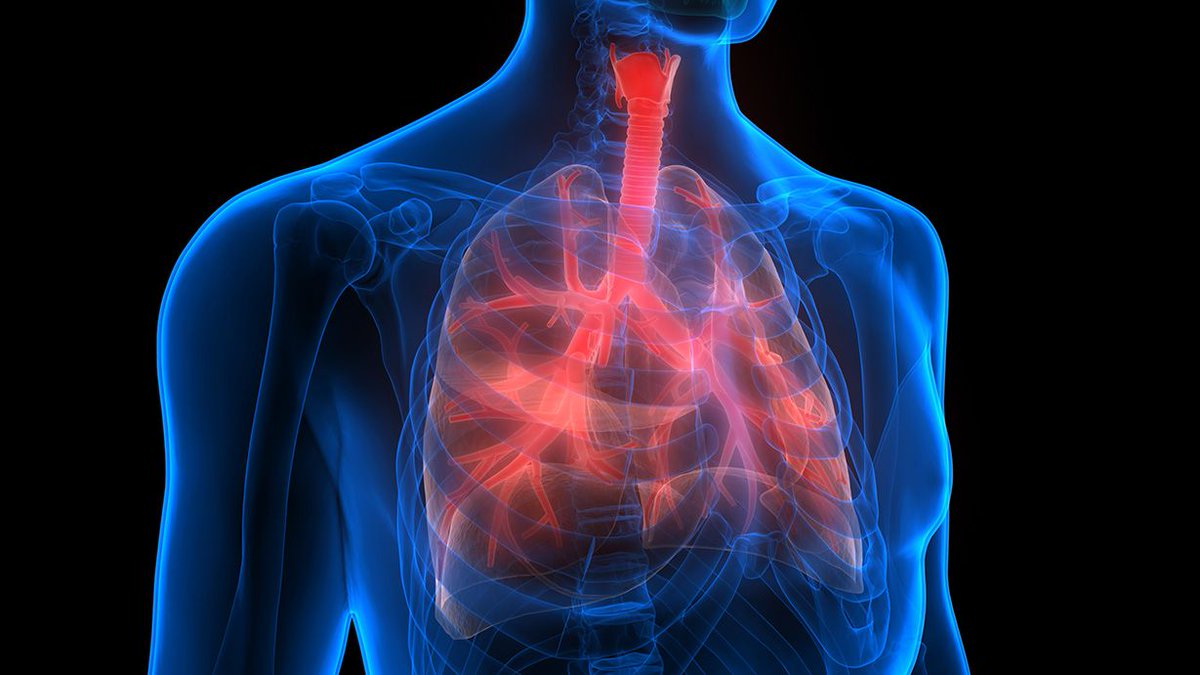 AJMC_Journal's tweet photo. 🚨 FDA grants accelerated approval to #zongertinib (Hernexeos; Boehringer Ingelheim) for adults with unresectable/metastatic nonsquamous #NSCLC w/ HER2 TKD–activating mutations after prior systemic therapy. Read more: https://t.co/PpdCTlzjcM https://t.co/EFFt8pdm0j