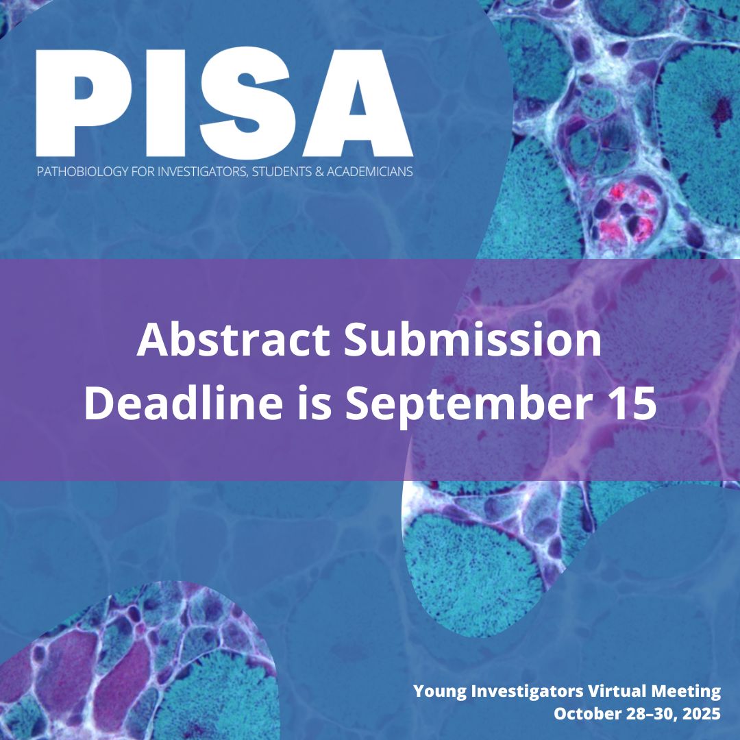 ASIPath's tweet photo. TRAINEES: You have 5️⃣ more weeks to get your abstract together for #PISA2025! Review topic categories and instructions https://t.co/niQOOmRhob #PathobiologyResearch #YoungInvestigators https://t.co/wl9Xknhe5H