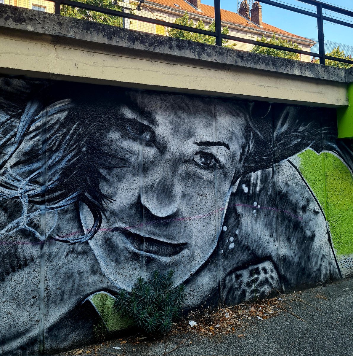 💚 Depuis longtemps les artistes ont la parole et des espaces à #Grenoble 🍀Fresques, streetart, musées pour tous les goûts &amp; les couleurs 🌈