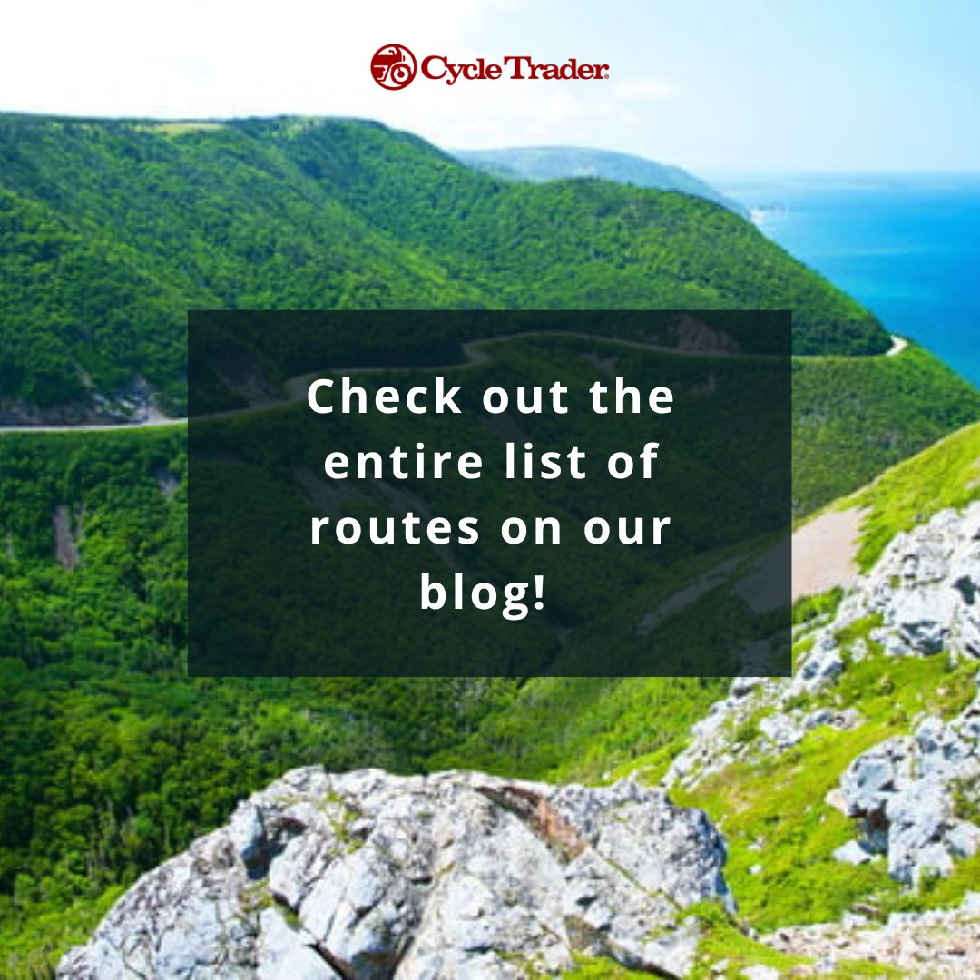 🔥 Southern heat got you sweating in the saddle? Head north for cooler temps, killer views, and twisty roads made for summer rides. 🏍️🌲 Time to chase the breeze. 👉 brnw.ch/21wUPtc

#RideNorth #BeatTheHeat #CycleTrader #MotorcycleLife #SummerRides #BuySellResearch