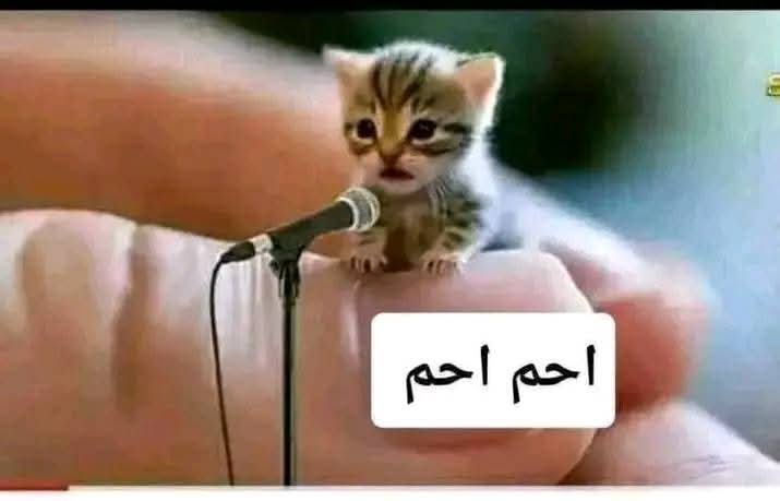 𖢑𖤬𖦪ꛈ𖣠ꛘ 𖢑𖤟𖦪ار (@marionmrmr) on Twitter photo 