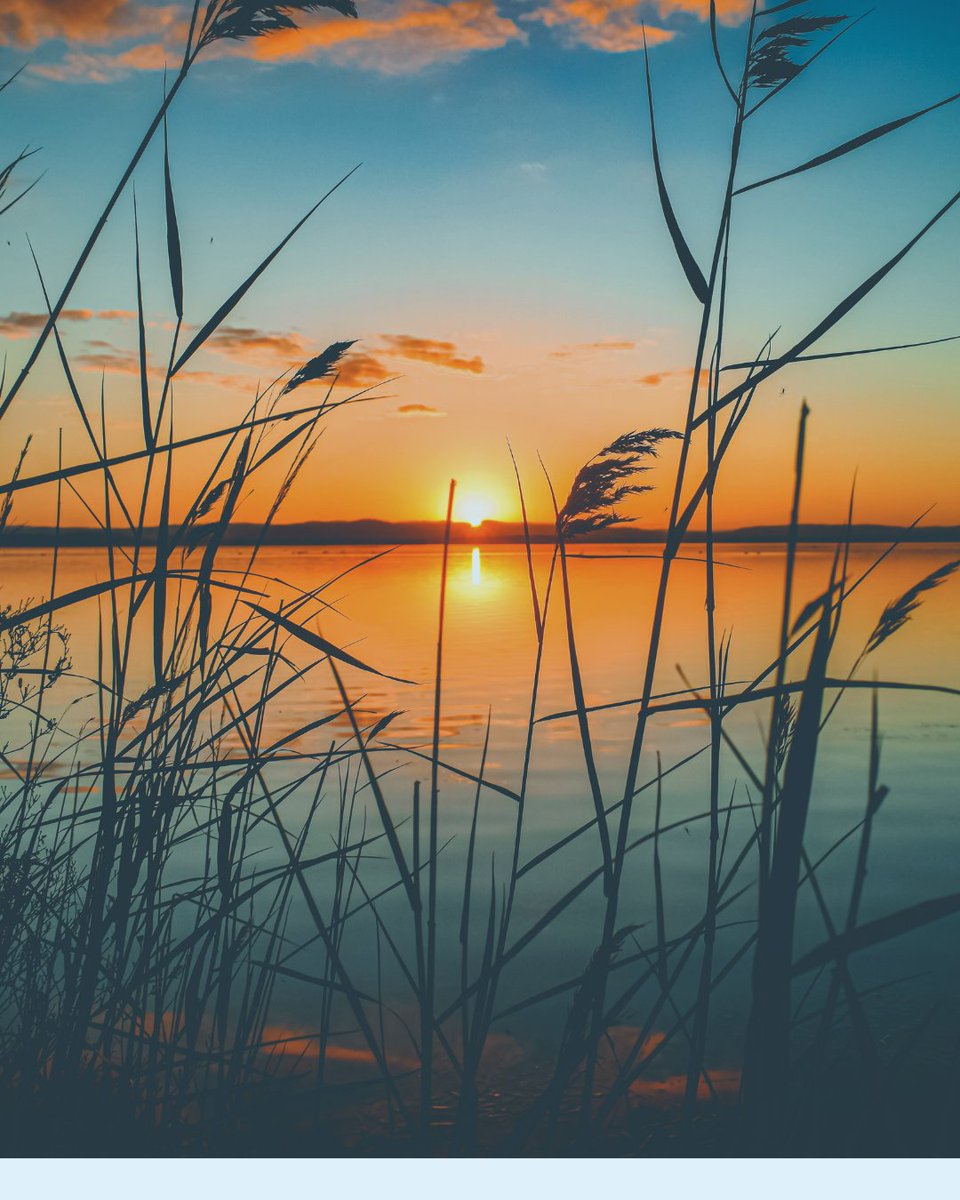 PhoenixHouseCa's tweet photo. Healing, like the setting sun, doesn’t rush—it unfolds in quiet, steady moments. Recovery begins when we slow down, breathe, and see that change is possible. Our programs support this process, offering tools and structure. Even when the path feels uncertain, hope rises again. https://t.co/HjxcJBiM04