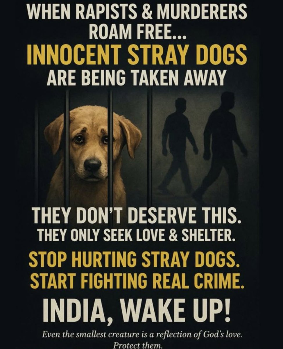 Pet Adoption Bangalore tweet media