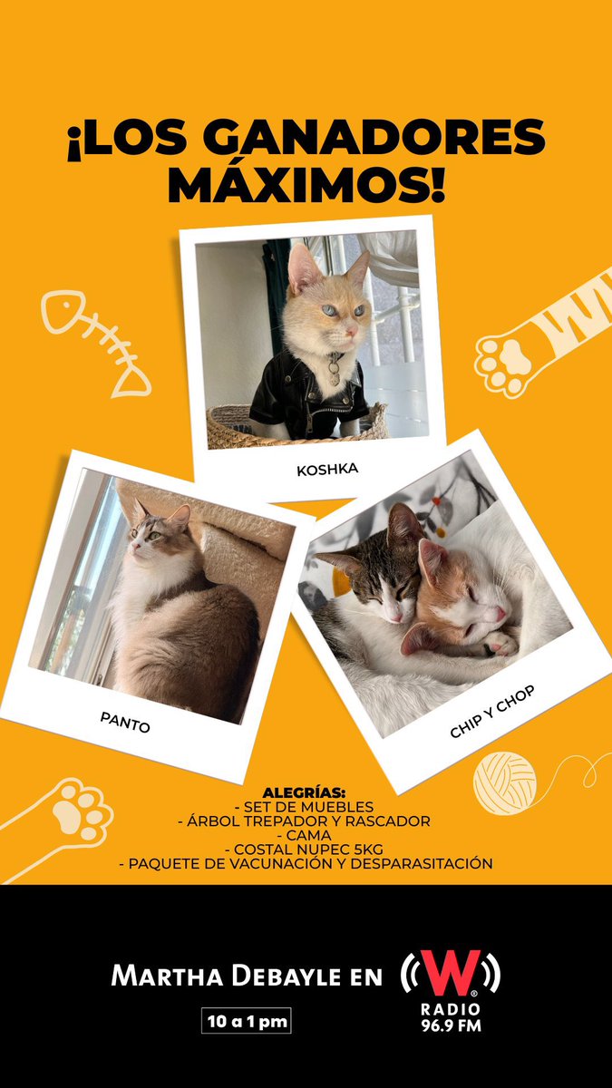¡Ya tenemos a los ganadores de nuestro #DíaDelGatoMD! Gracias por compartirnos a sus gatos, sus fotos estuvieron de infarto. Los tres consentidos elegidos se llevan su kit completo: cama, juguetes, comida, vacunación. Enjoy! <a href="/Rebmangas/">Rebeca Mangas</a>