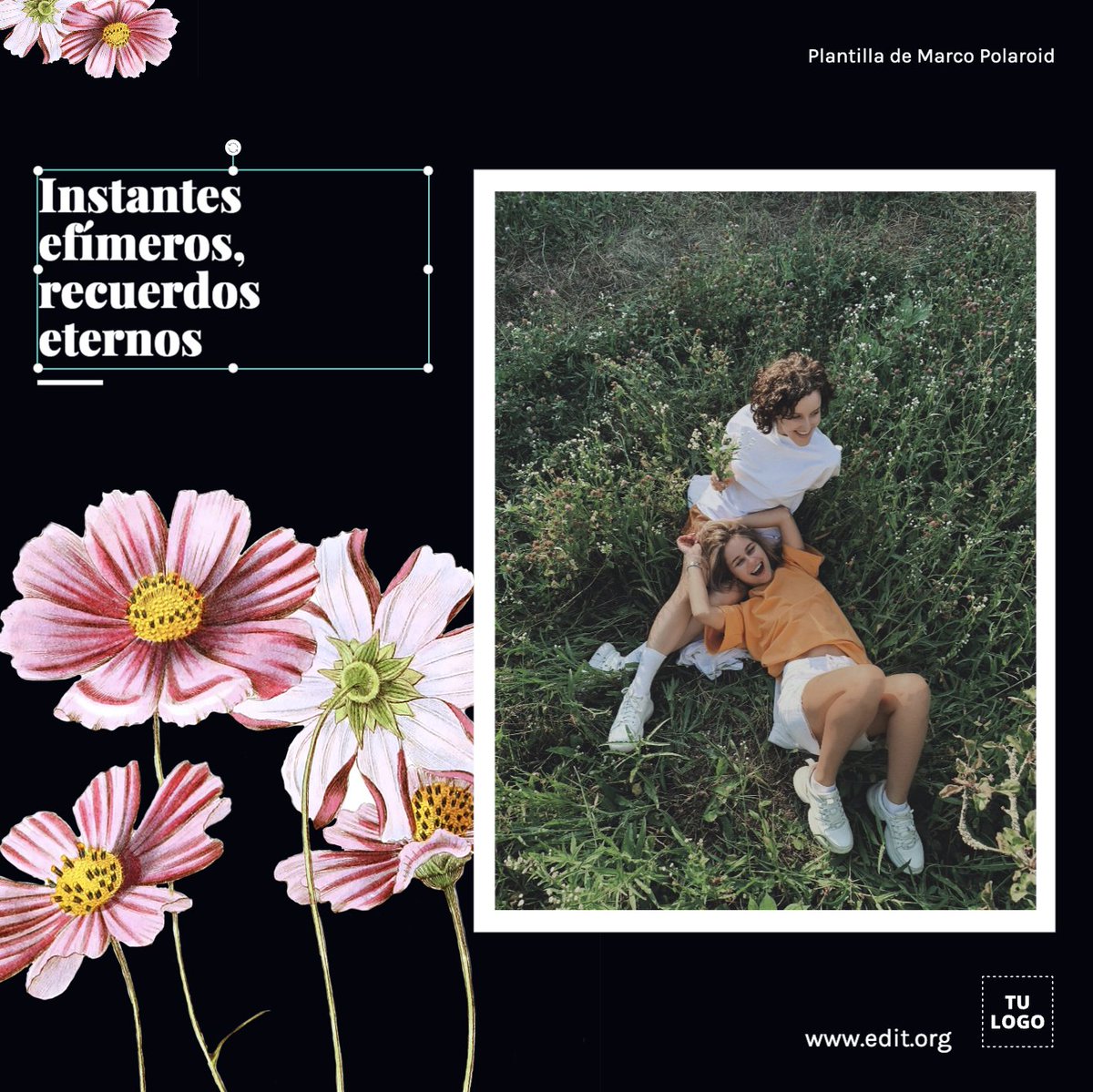 EDIT.org Español | Editor Gráfico Online tweet media