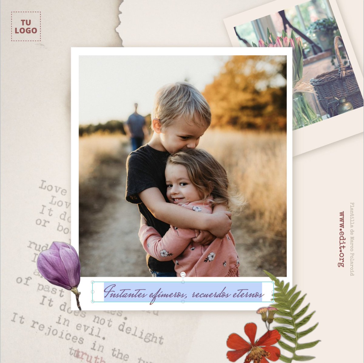 EDIT.org Español | Editor Gráfico Online tweet media