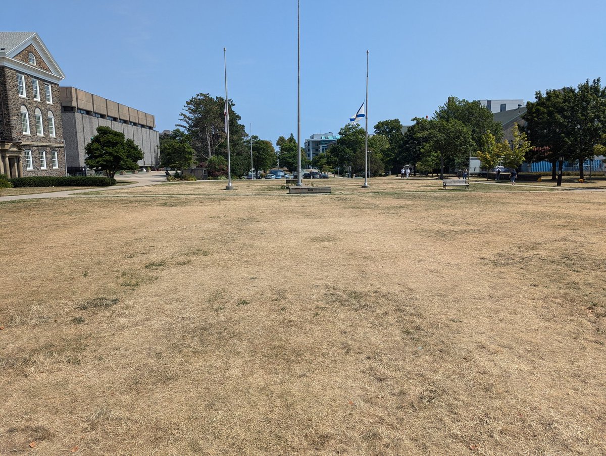 The quad feeling the effects of the drought: