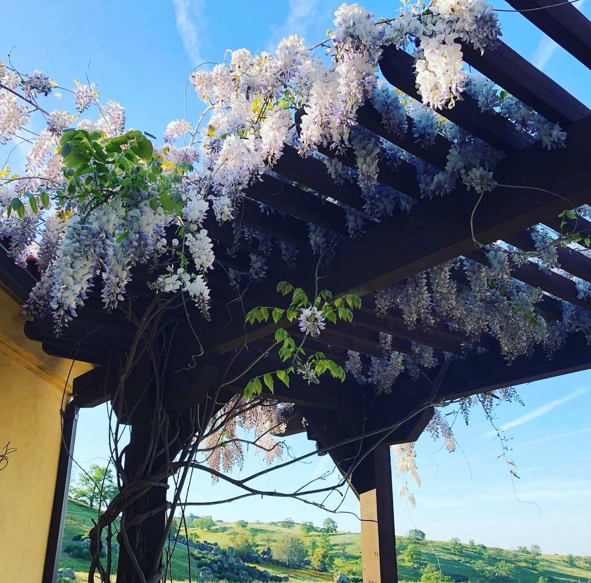 AshleyJo tweet media