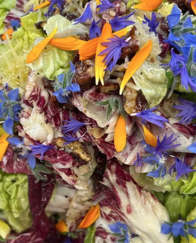 irish_writing's tweet photo. We’re at the height of summer leaf season; these beauties are from @AirfieldEstate where will hold our annual Sponsors Lunch later this week @OverendsKitchen❤️ Really looking forward to seeing everyone! #IFWA25 #thisisirishfood #foodwriting
@gatheredireland https://t.co/yxyzi3PgY6