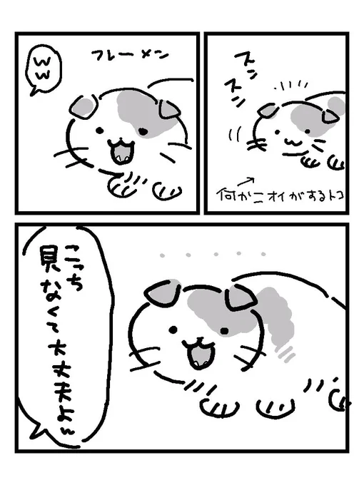 我が家の三毛猫さま 
