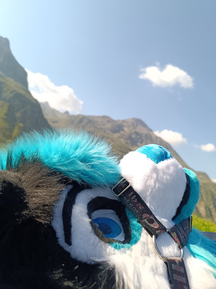 It feels good to live in the mountains. Having this kind of landscape just 20 minutes away by car is so pleasant and refreshing ✨⛰️