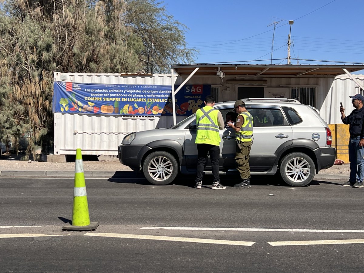 En el marco de #SanLorenzo2025 se entregaron 420 constancias para el transporte público de pasajeros, se realizaron 200 controles en operativos de fiscalización y de prevención durante el fin de semana en #Huara

#Iquique #Tarapacá #Tamarugal #AltoHospicio #PozoAlmonte