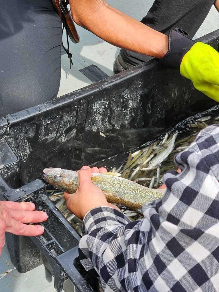 What a great day in Gimli attending the Lake Winnipeg Research Consortium AGM and touring Lake Winnipeg aboard the Namao
