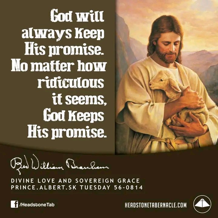 Brother Fortune (@mafukaf) on Twitter photo 