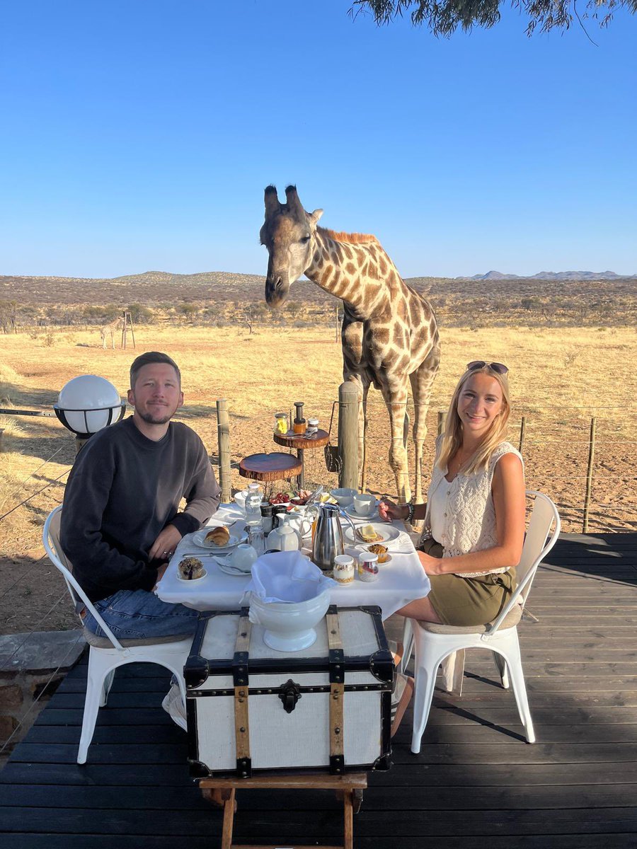 Drew Sherratt tweet media