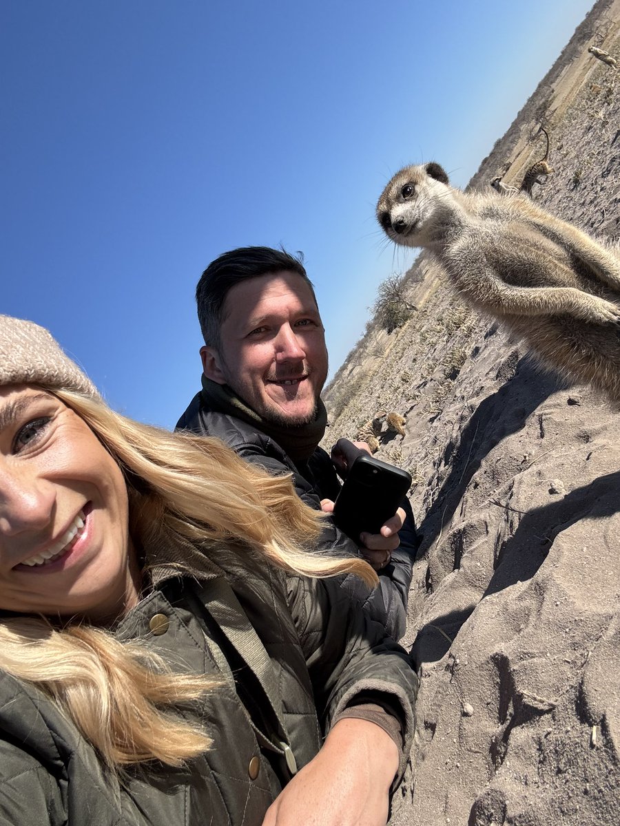 Drew Sherratt tweet media