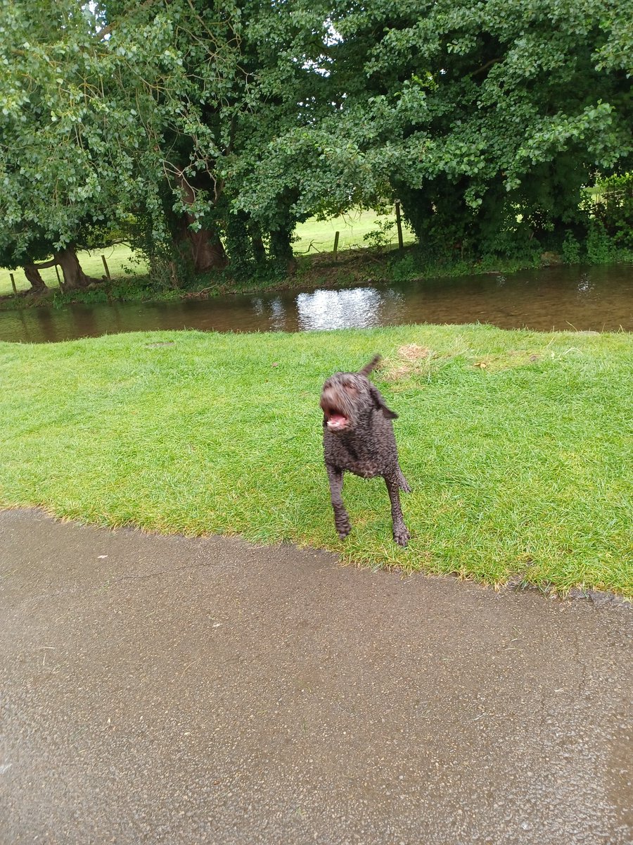 joyce Jordan (@joycejo49834475) on Twitter photo Thank you Steve & Lobo for a lovely afternoon at Thornton Le Dale. I had a great time & a lovely picnic, boy was it hot 🥵. Here's some pics for you <a href="/stevemarsham/">steve marsham</a> X Thank you Steve & Lobo for a lovely afternoon at Thornton Le Dale. I had a great time & a lovely picnic, boy was it hot 🥵. Here's some pics for you <a href="/stevemarsham/">steve marsham</a> X