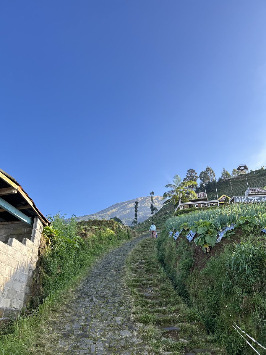 pureheart_com's tweet photo. Today i walked around Nepal Van Java 🌄🌞🌬️🌫️ https://t.co/DJ8c0UuLg3