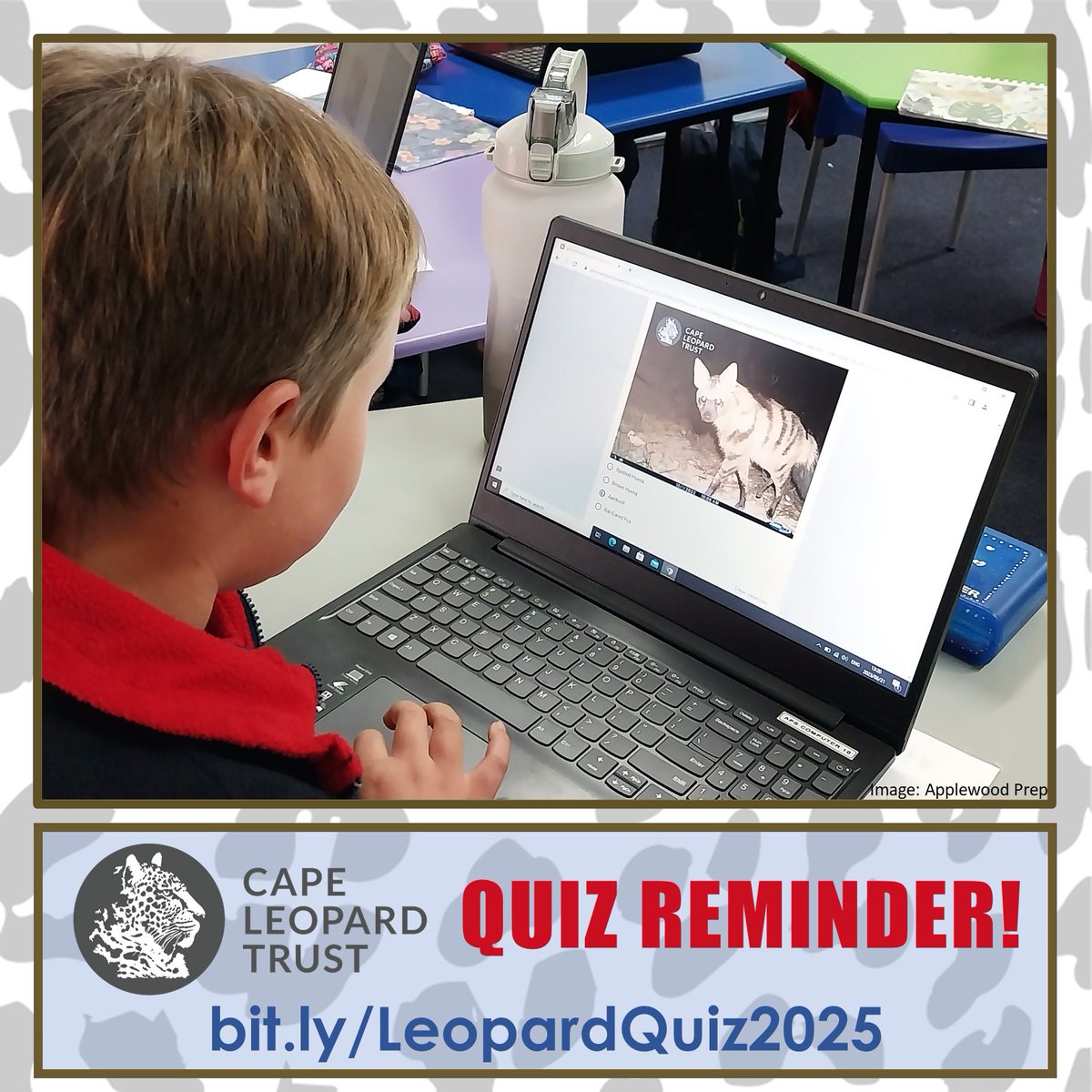 Cape Leopard Trust (CLT) (@capeleopardtrst) on Twitter photo A reminder of our <a href="/CapeLeopardTrst/">Cape Leopard Trust (CLT)</a> Online Quiz! This is intended as a fun activity for learners but anyone can take part, so why not spend a few minutes to test your knowledge &learn something new!
Visit bit.ly/LeopardQuiz2025 - closes 31Aug
#TeachingTuesday A reminder of our <a href="/CapeLeopardTrst/">Cape Leopard Trust (CLT)</a> Online Quiz! This is intended as a fun activity for learners but anyone can take part, so why not spend a few minutes to test your knowledge &learn something new!
Visit bit.ly/LeopardQuiz2025 - closes 31Aug
#TeachingTuesday