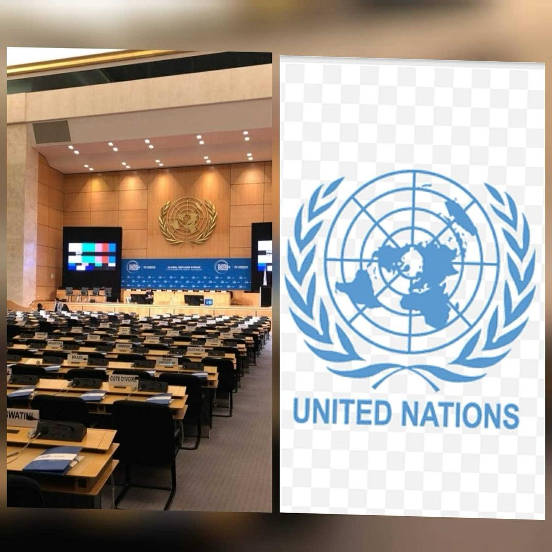 LARMO لارمو tweet media