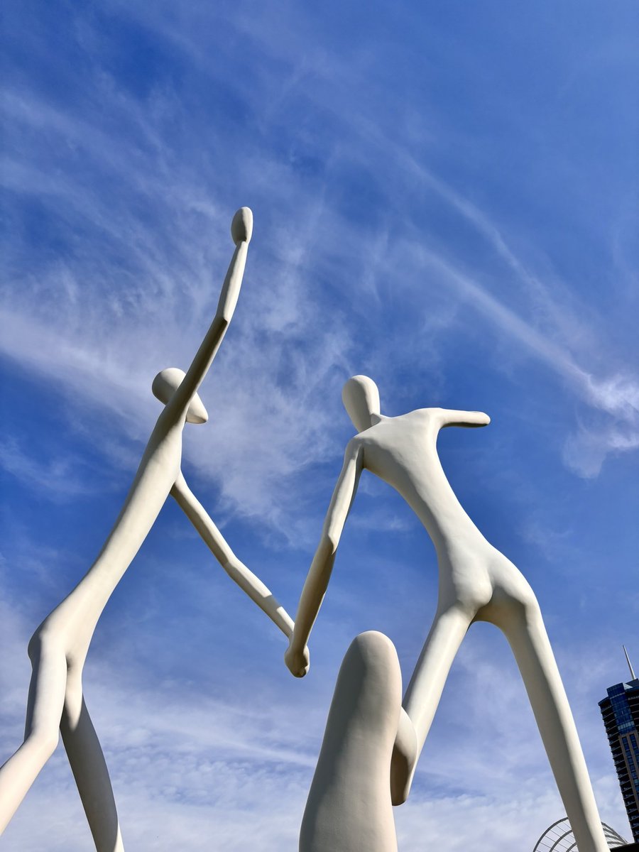 shae sackman. tweet media