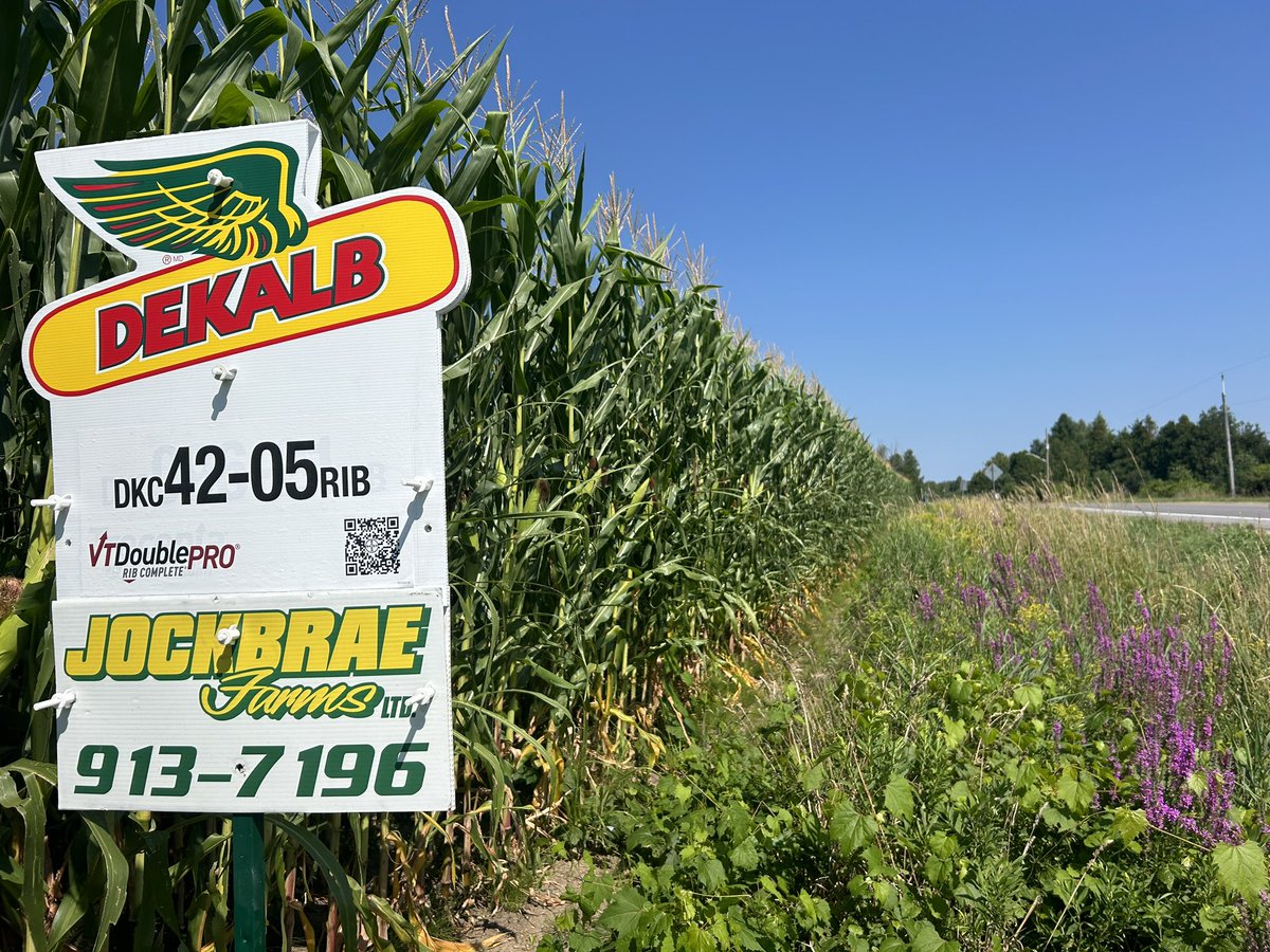 Jockbrae Farms Ltd. tweet media