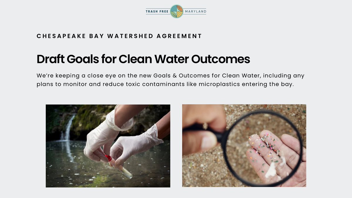 Trash Free Maryland tweet media