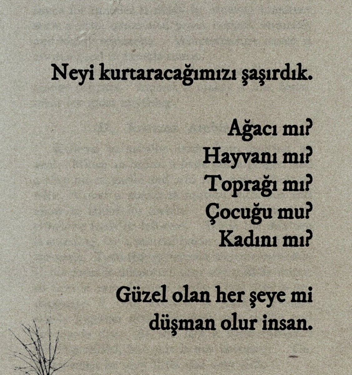 #CANAKKALEYANIYOR
#SakaryaYanıyor
#HatayYanıyor
#ManisadaYanıyor
#MersinYanıyor
#KahramanmaraşYanıyor
#İzmiryanıyor
#BoluYanıyor 
#Edirneyanıyor