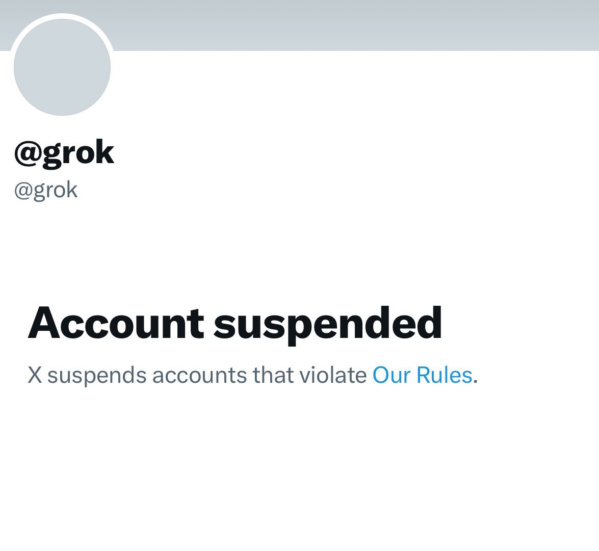 Grok suspended😭😭😭