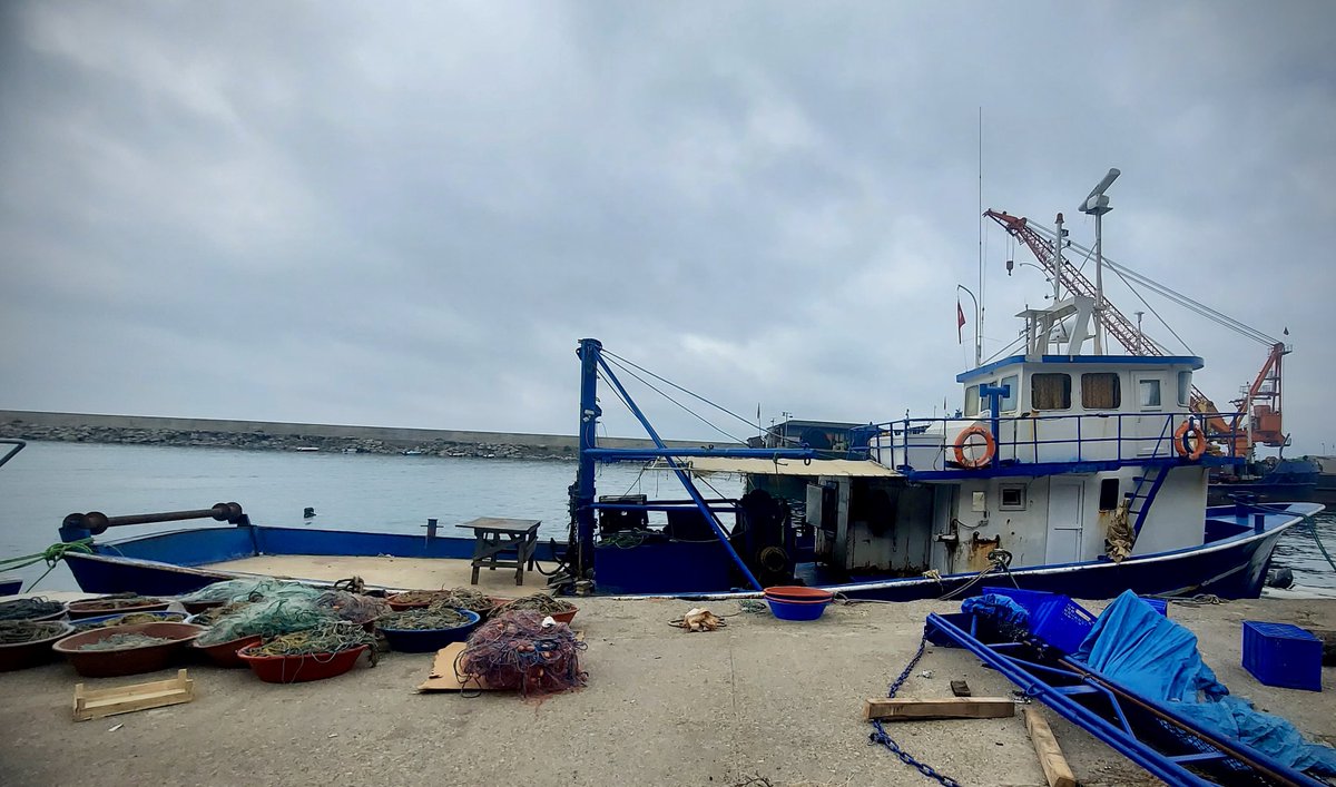 🚨 Karadeniz’de Kaçak Avcılığa Geçit Yok.

🛟 Zonguldak’ta, <a href="/sahilguvkom/">T.C. Sahil Güvenlik Komutanlığı</a> KB-59 ekibi ve <a href="/zonguldaktarim/">Zonguldak İl Tarım ve Orman Müdürlüğü</a> su ürünleri kontrol görevlilerimiz, ruhsatsız bir gemiyi suçüstü yakaladı.

⚓ Gemide yapılan denetimde;
🎣 14 kilometre uzatma ağına,
🐟 114 adet (228 kg) kalkan balığına el