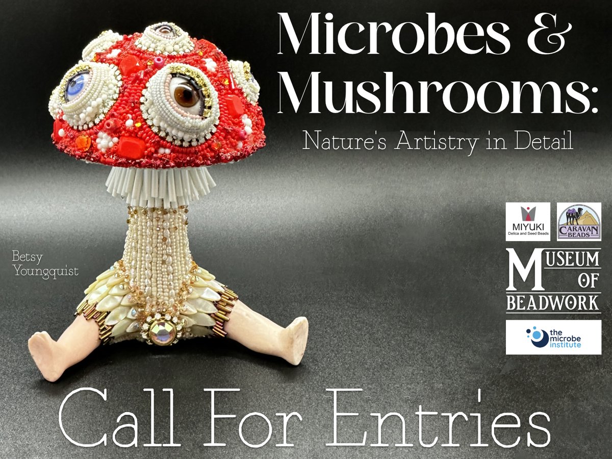 Dr. Anne A Madden tweet media