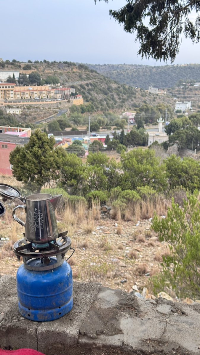 Life is green and blue 💙🌳