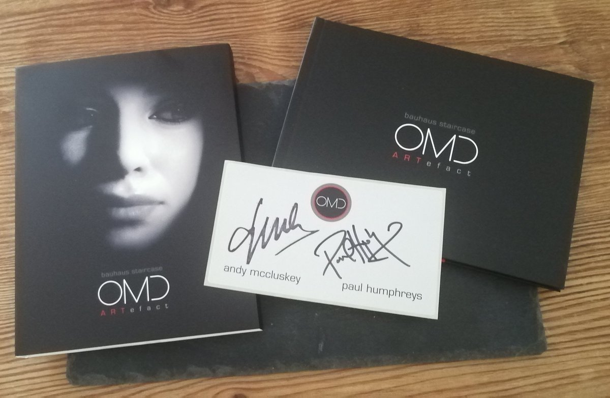 🎼 𝕊𝕋𝔼𝕍𝔼™ tweet media