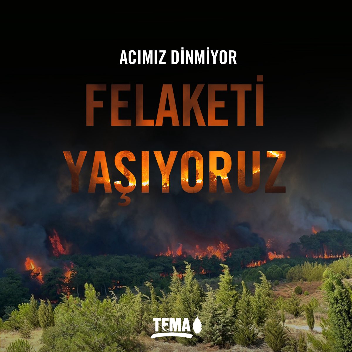 temavakfi's tweet photo. 📌 Ne yazık ki, ülkemizin dört bir yanından yangın haberleri gelmeye devam ediyor.

Çanakkale, Manisa, Bolu, Sinop, Aydın ve Mersin’de orman yangınları çıktı. Yangınlar, özellikle Çanakkale’de yerleşim yerlerine çok yakın noktalarda ilerliyor, hem havadan hem karadan ekipler müdahalelerini sürdürüyor.

İhmaller büyük felaketlere yol açıyor. Ağaçlarımız, hayvanlarımız, toprağımız, yaşam alanlarımız yanıyor. Sadece doğa değil, hepimiz kaybediyoruz.

Yangından etkilenen tüm bölgelere geçmiş olsun dileklerimizi iletiyoruz. Yangınların bir an önce kontrol altına alınmasını ve yaraların en kısa sürede sarılmasını temenni ediyoruz. Kaybettiğimiz tüm canlılar için çok üzgünüz.

Orman yangını ile mücadele sırasında canla başla çalışan Orman Genel Müdürlüğü çalışanlarına ve tüm emeği geçenlere minnettarız. @OGMgovtr