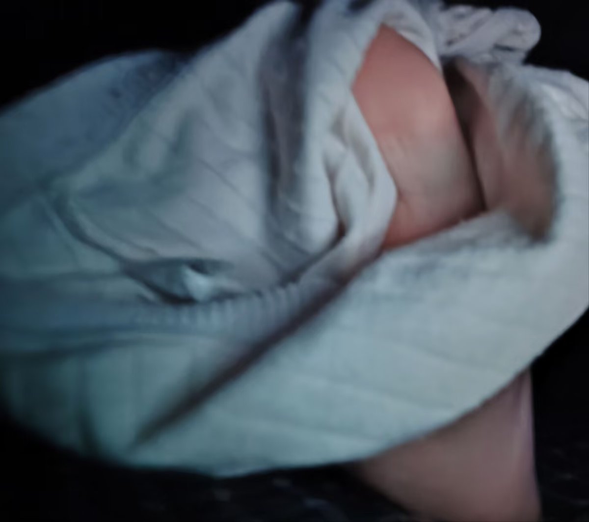 狗狗巴士 tweet media