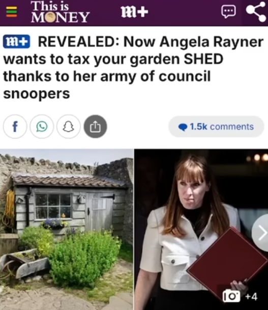 ANNA IS BACK17 tweet media