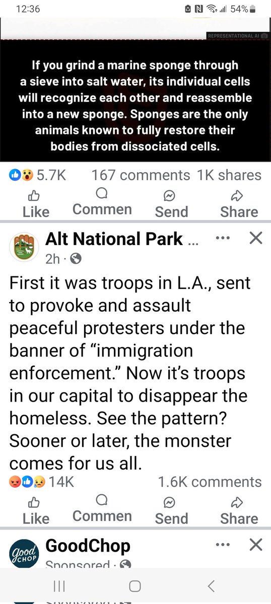 kyblueblood's tweet image. First it was troops in L.A., sent to provoke and assault peaceful protesters under the banner of “immigration enforcement.” Now it’s troops in our capital to disappear the homeless. See the pattern? Sooner or later, the monster comes for us all.
#Roundups 
#Homelessness