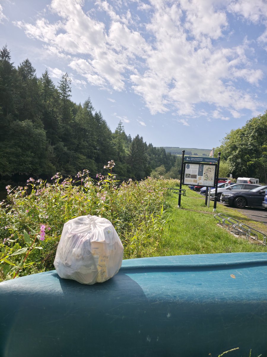 roriain's tweet photo. A cracker of a day brought me down to the end of the #BarrowTrack. Strolling along while picking up #litter. Freneys chair to St Mullins. #LeaveNoTrace #lovewhereyoulive https://t.co/3YDOIBBm96