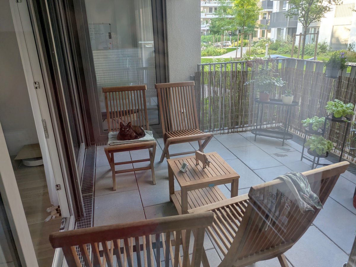 vegancoder1's tweet image. На балконе в съёмной квартире начали появляться цветы
В обычной речи начали то и дело мелькать иностранные слова, больше подходящие к моменту: брётхен, поммес, сбан
Начали появляться мысли о продаже квартиры в России, которая не так давно приносила столько радости и была домом