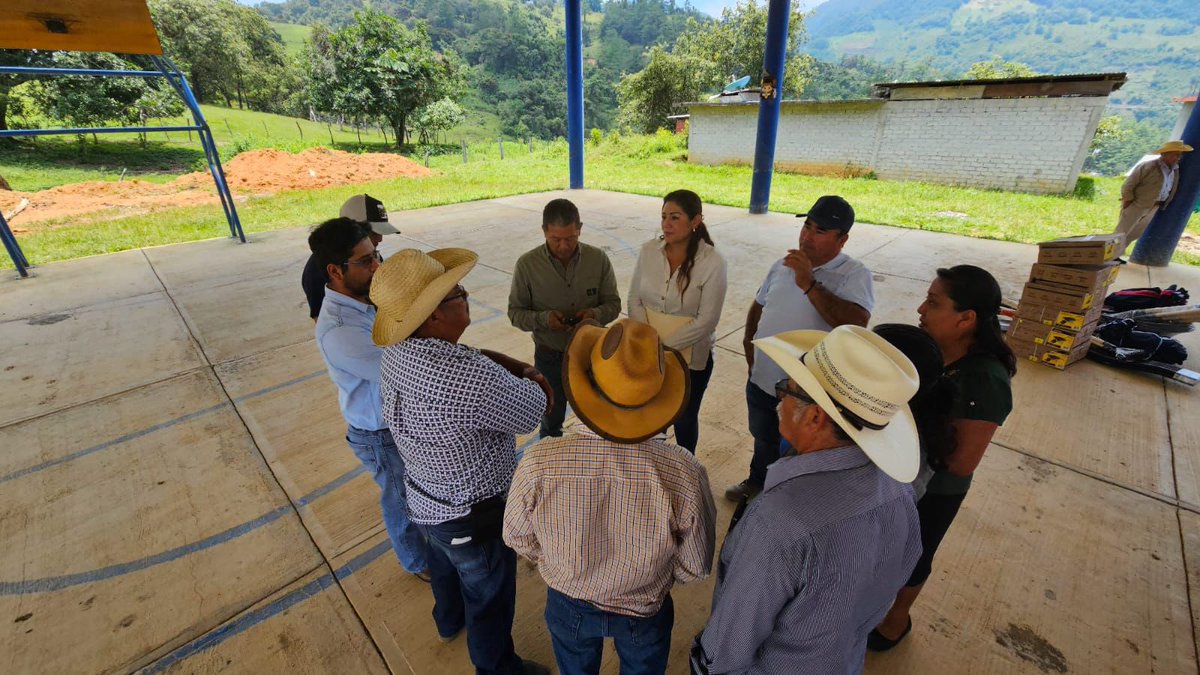 ¡Qué gusto me da recorrer la Sierra Cuicateca! ✨

Ayer estuve en la agencia San Juan del municipio de San Pedro Teutila, saludando a amigas y amigos de esta localidad donde entregué herramientas para sus tequios y tuve la oportunidad de escuchar algunas de sus necesidades para