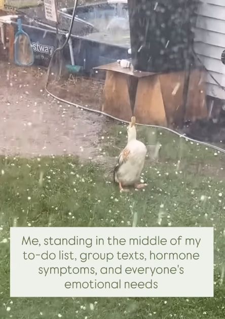 SarahLynneCR's tweet image. #codependentnomore